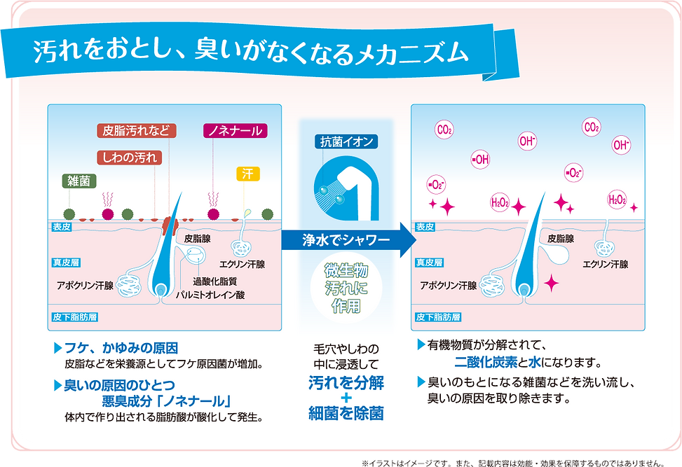 汚れをおとし、臭いがなくなるメカニズム