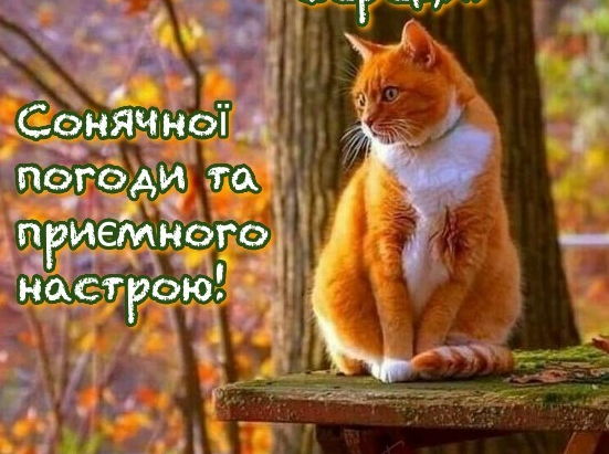 29 жовтня. Середа.