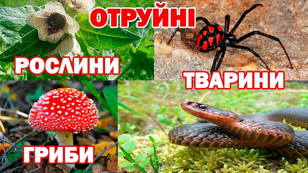 ree