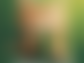 18 листопада. Вівторок