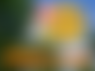 21 Вересня. Середа.