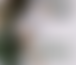 23. Грудня. П'ятниця