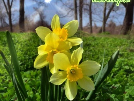 15 Квітня. Понеділок.