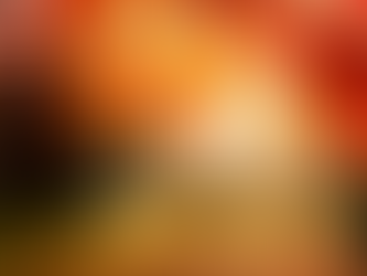 16 Листопада. Середа.