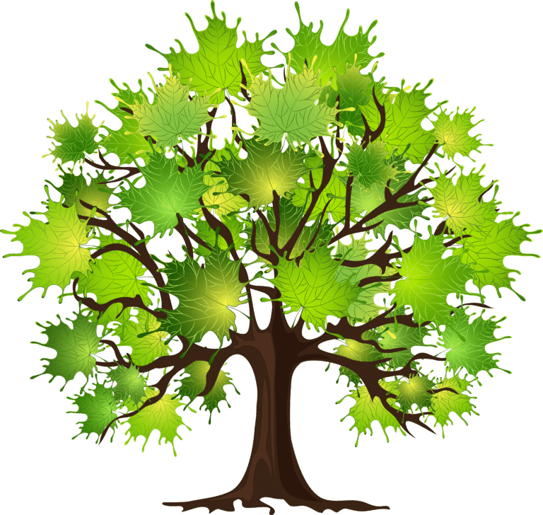 How-to-prune-a-maple-tree-768x728.png