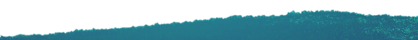 Picture1.png