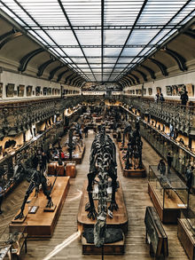 Dia Internacional dos Museus