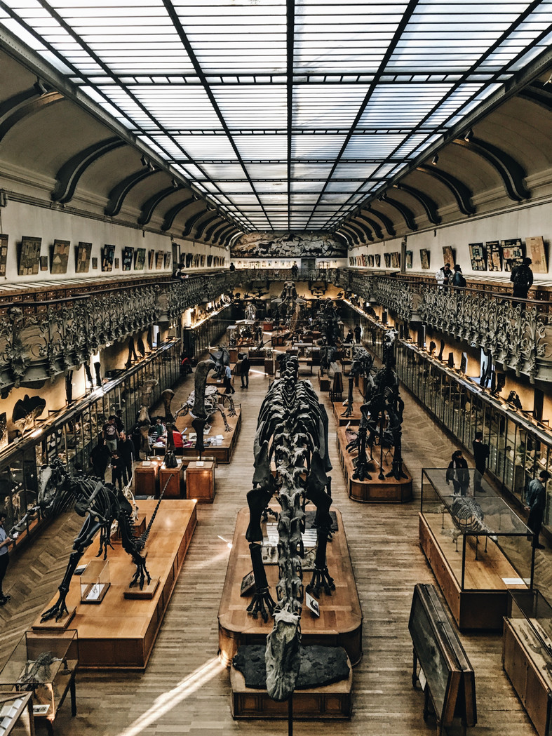 Dia Internacional dos Museus