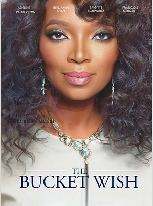 THE BUCKET WISH.PNG