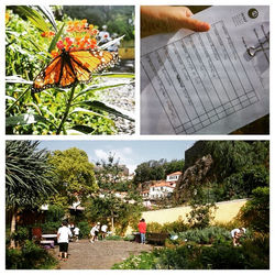 Instagram - Hoje fizemos um jogo no Jardim de Plantas Aromáticas! Cheiroso 😌