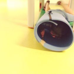 Instagram - Circuitos com história: "Num dia os alunos do TEKAS recebem no compu