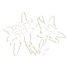 Logo Flowers