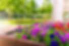 Screenshot 2025-06-03 at 2.26.10 PM.png