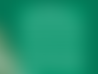 January 2025 Newsletter