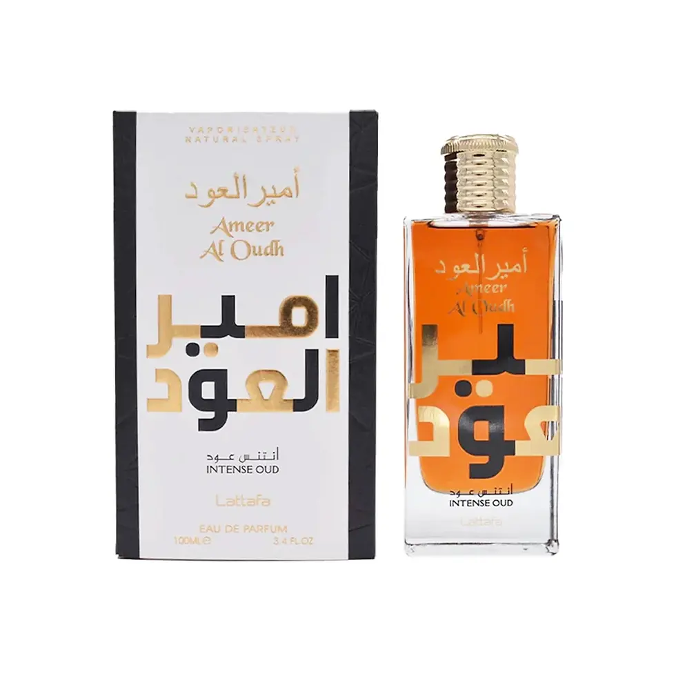 Miniatura: Ameer Al Oud