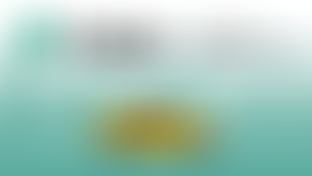 Globaleur launched first foreigner-friendly taxi app in Seoul