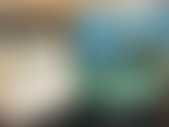 最近の出来事🌈