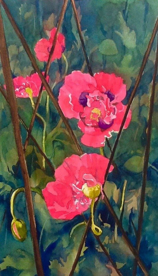 Susan's Poppies