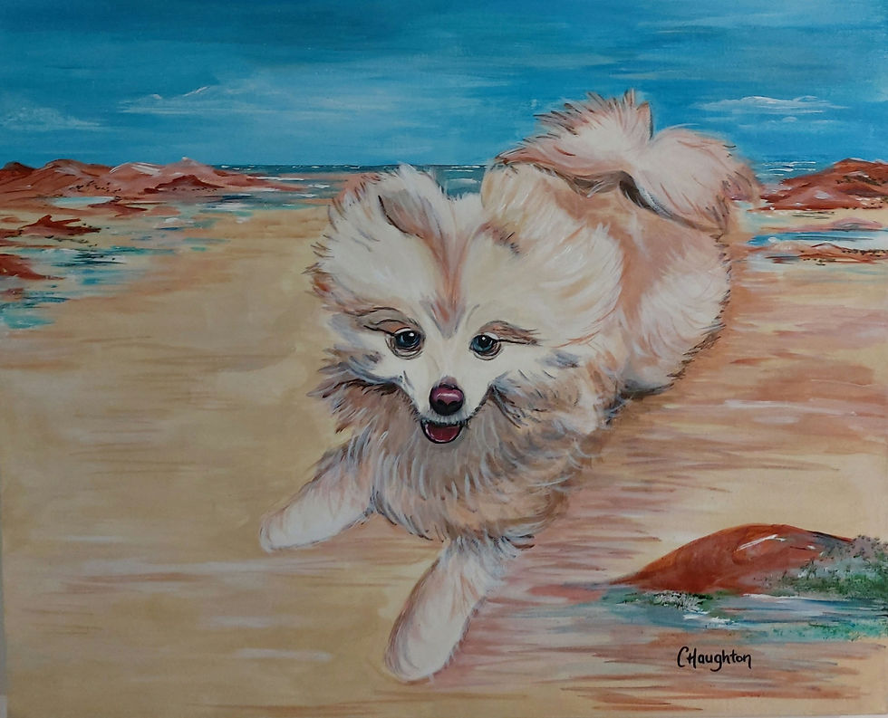 Thumbnail: Bella, Bentley & Max - Dog Commissions