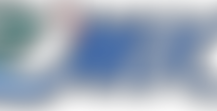 Mudge Island Bylaw Survey