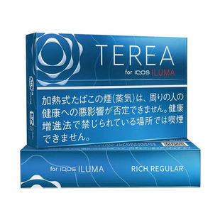 TEREA Rich Regular Nhật – Đậm sâu, mạnh mẽ, dành cho tín đồ thuốc lá truyền thống