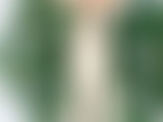 クリスマスレッスン2025