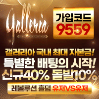 입플사이트 갤러리아