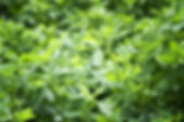 AdobeStock_39822421.jpeg