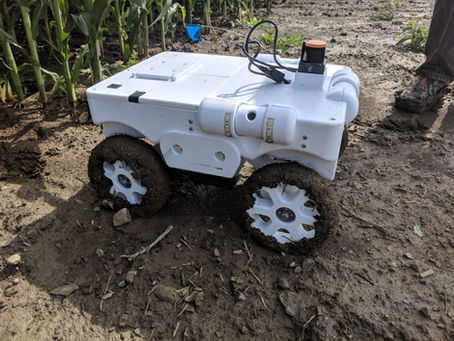 Meet Rovers 1, 2 and 3