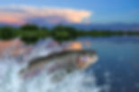 AdobeStock_209398603.jpeg