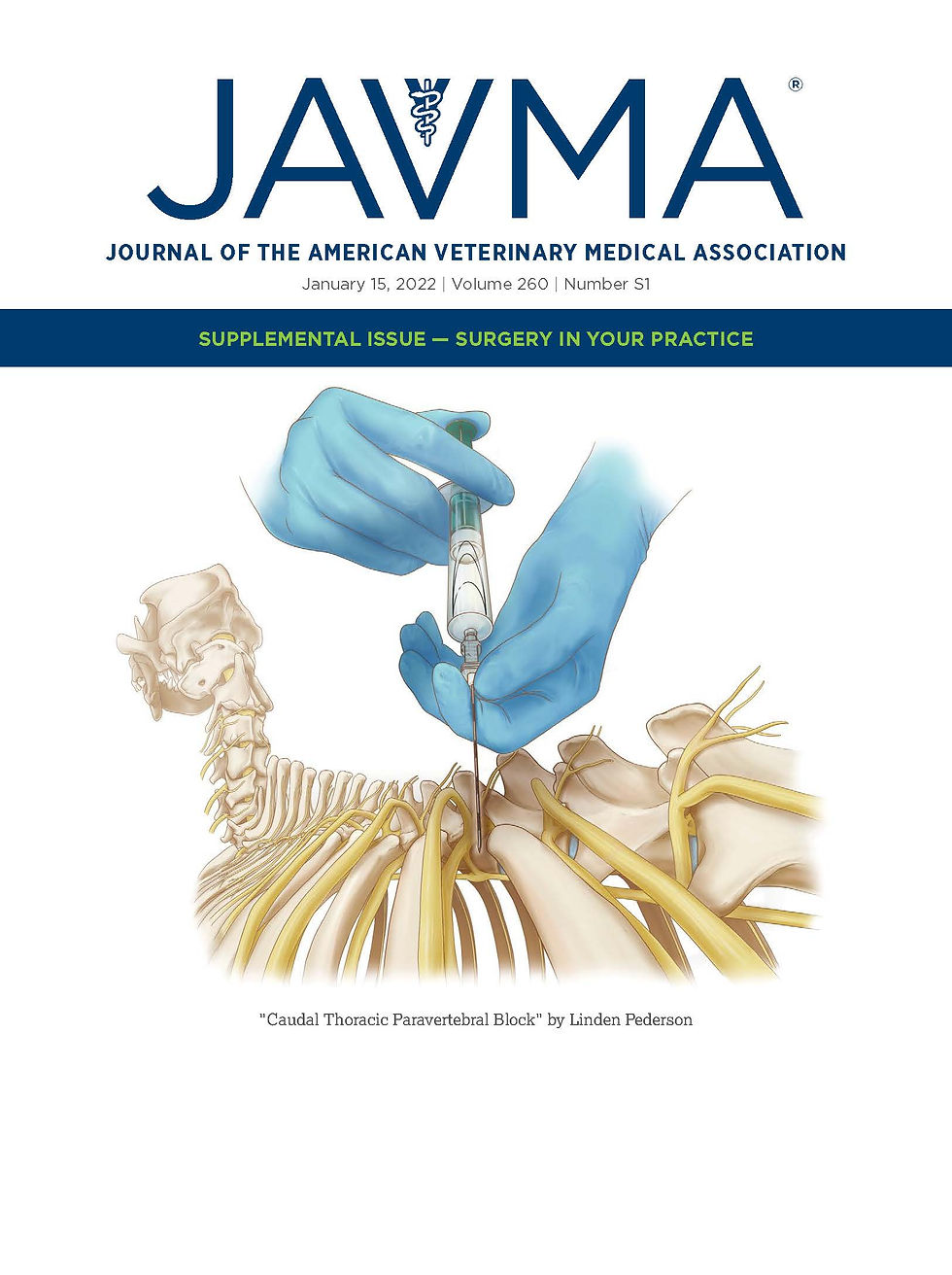 JAVMA cover illustration
