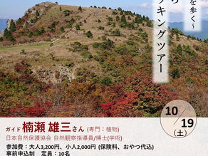 紅葉トレッキングツアー参加者募集中!