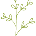 1698094766-140w_140h_tree_edited.png