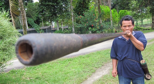Malaysia19 Blower.JPG