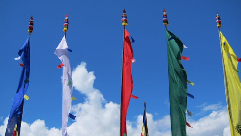 India flags2.JPG