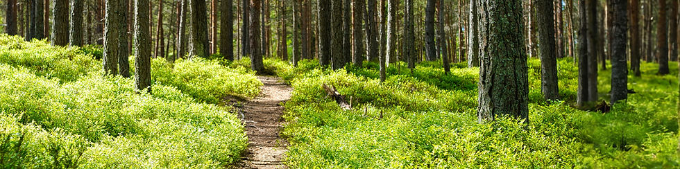 brown dirt road between green grass and trees during daytime_edited_edited_edited_edited.j