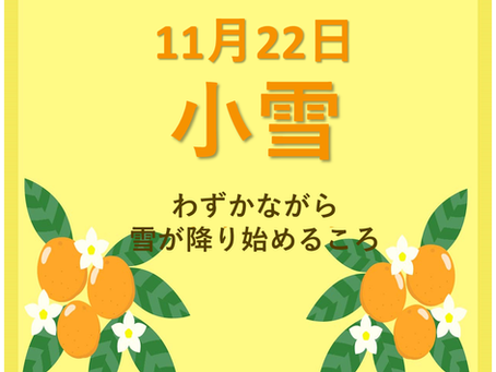今日は小雪