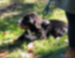 image1