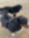 78238B48-3111-4EEE-B2B5-577BC0B825CB