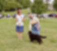 image1 (3)