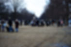 Dog Walks 3