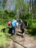 Dog Walk_Up the hill_edited