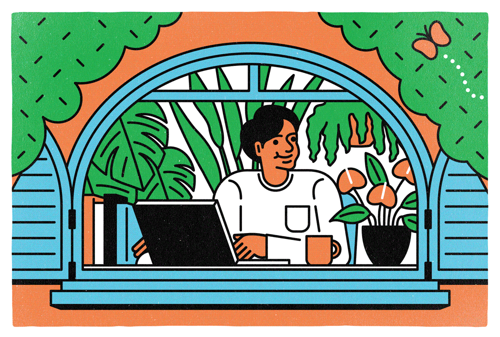 AND PLANTS ___ 各種イラストレーション制作