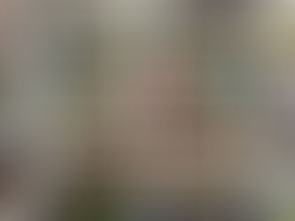 General Organizing Tips