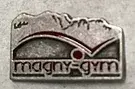 Épinglette.webp