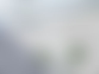 Sometimes I Miss My Old Self