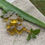 Thumbnail: 12 x Mini Handmade Aloe Vera Soap with Oregano & Peppermint