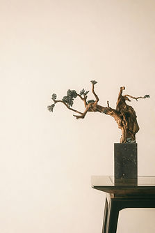 oriento--OBffuUekfQ-unsplash.jpg