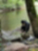 received_1488673267997110.jpeg