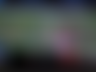 Where to Host a Watch Party in Bellevue This Football Season